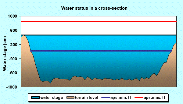 Water status in a cross - section