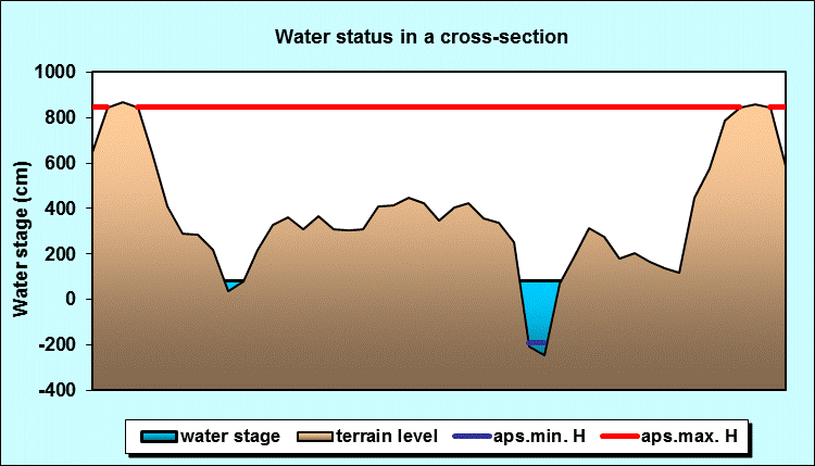 Water status in a cross - section