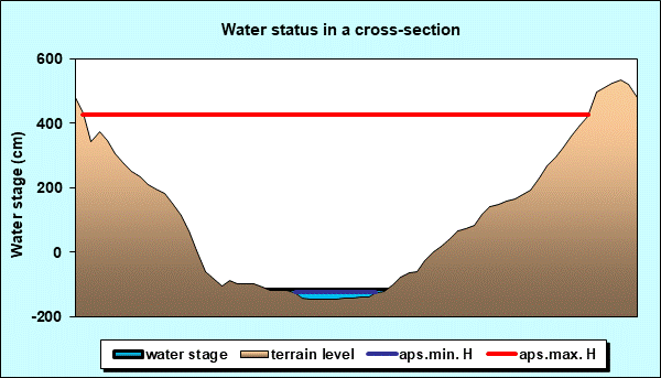 Water status in a cross - section