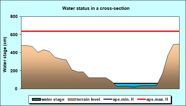 Water status in a cross - section