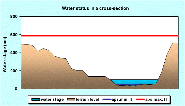 Water status in a cross - section