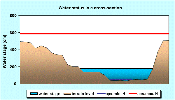 Water status in a cross - section