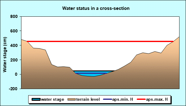 Water status in a cross - section
