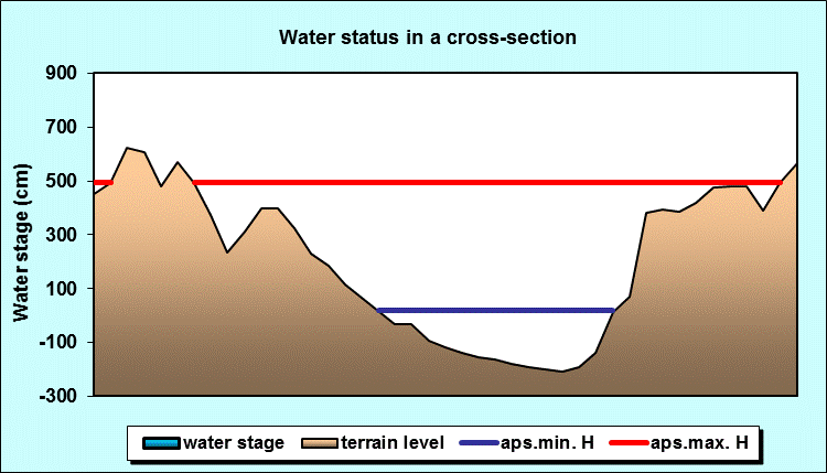 Water status in a cross - section