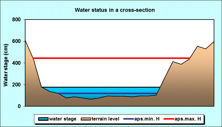 Water status in a cross - section