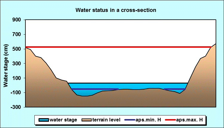 Water status in a cross - section