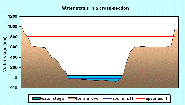 Water status in a cross - section