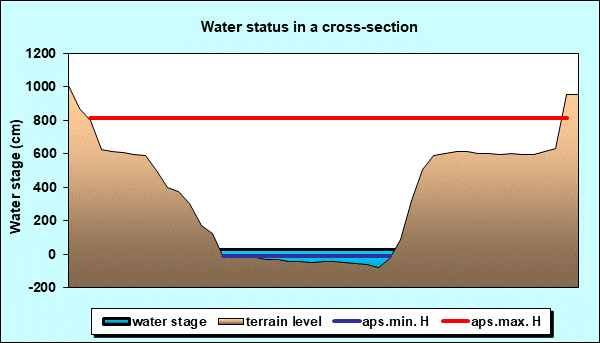 Water status in a cross - section